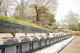 風・光そして星