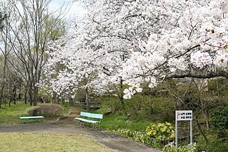 散策路、せせらぎゾーンの画像です。