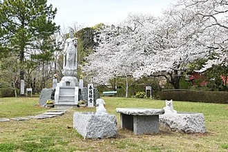 桜、ベンチ　コナラの木　の画像です。